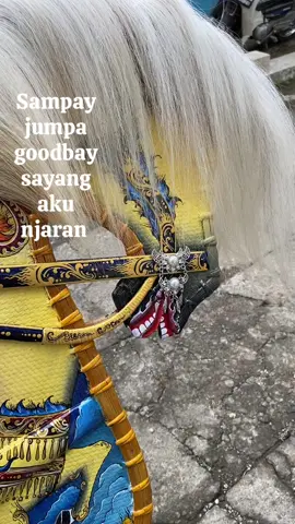 aku njaran #fyp #foryou #jaranantiktok #jarankepangtemanggung #tiktok @Suryo Utomo Siogo @Jaran_Blantik Jaran✨ 