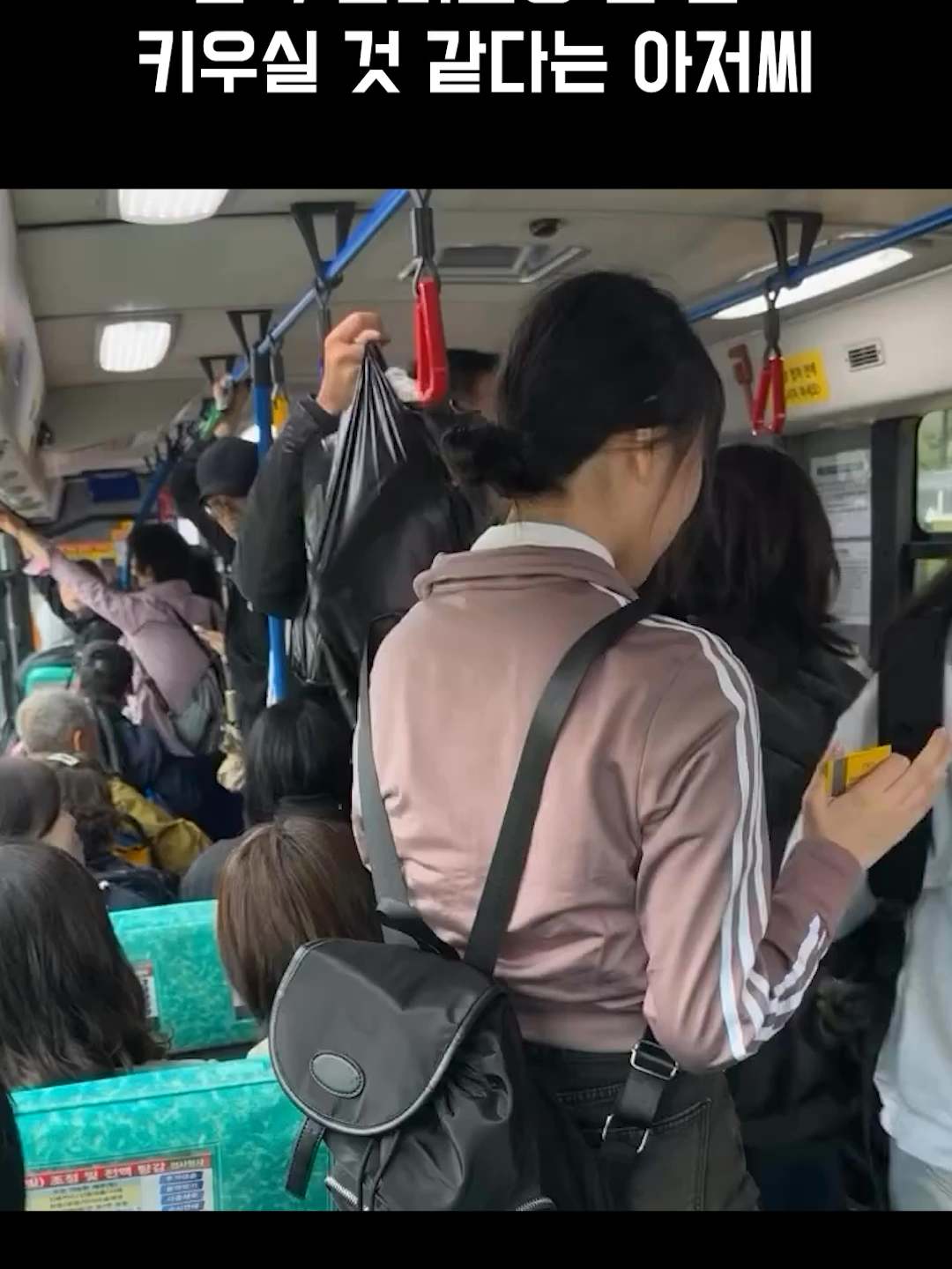 흰색 말티즈랑 딸 둘 키우실 것 같다는 아저씨 1등 버스대절 가격비교하러가기 👉 https://abit.ly/sns_allbus   #올버스 #버스대절 #전세버스 #관광버스 #결혼식버스대절 #버스대절가격비교 #단체이동필수템 #MT버스 #결혼식셔틀 #출장버스예약 #행사버스  #버스예약