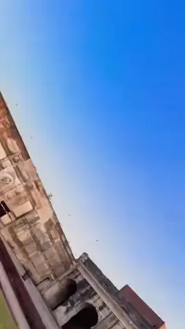 @𝓩𝓸𝔂𝓪🧚🏻‍♀️ ilə #duet #foru 