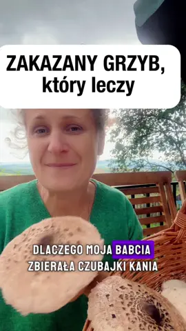 Zakazany grzybek ? #markawlasna #zdrowie #natura #grzybobranie