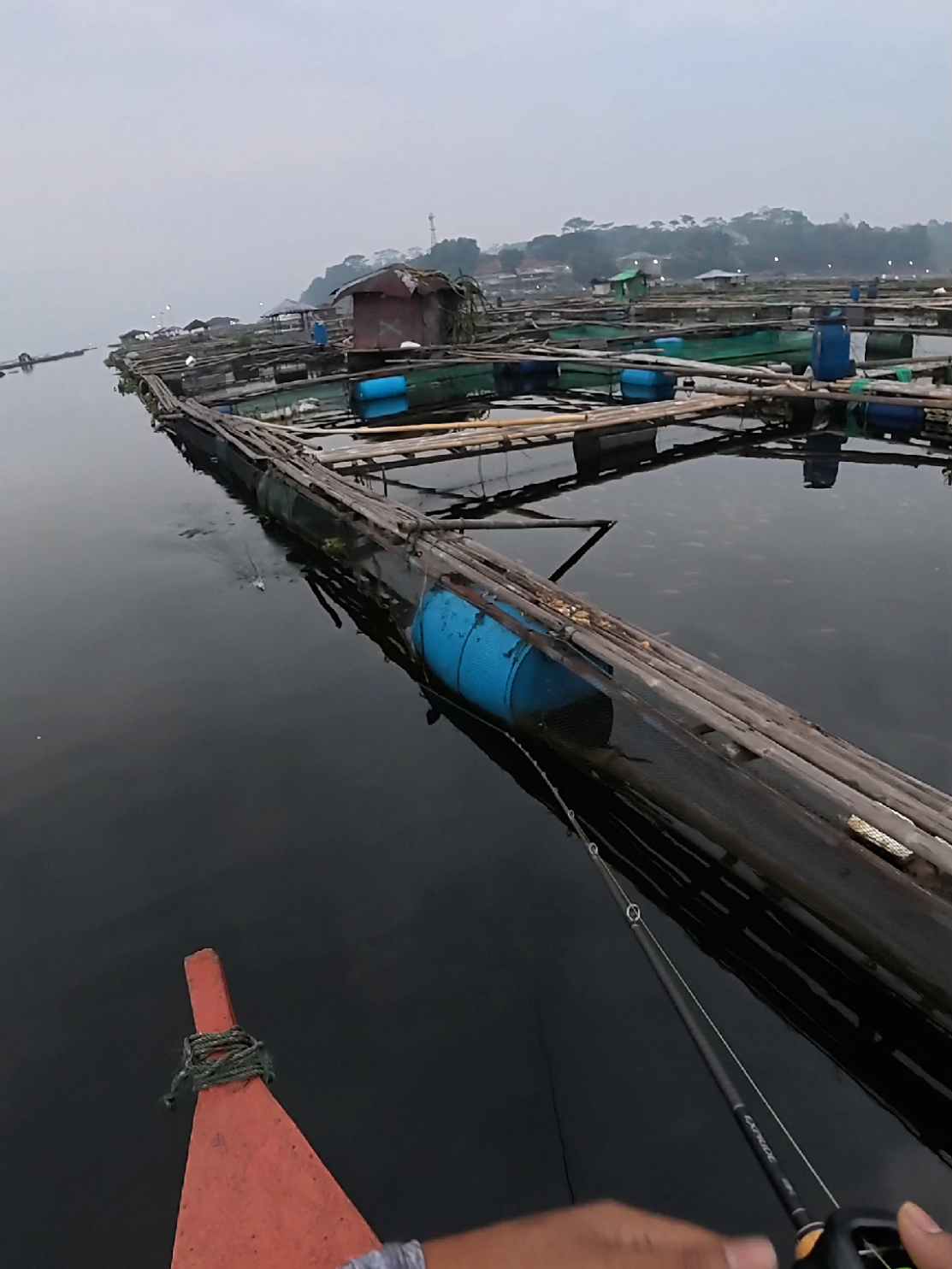 toman kurang vitamin 🗿 #shimano #fishing #castingtoman #mancing #mancingtoman 