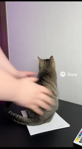 ээээ #sora #sora2 #top #ии #t2x2 
