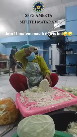 #sppgamerta #sppg #mbg #seputihmataram 