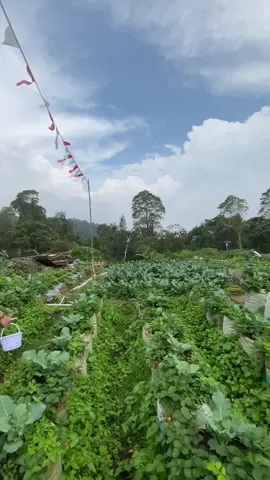 Wayae wong jomblo tampil 🤌🏻 #fyppppppppppppppppppppppp 