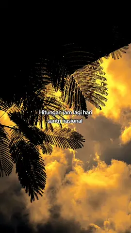 menyambut hari santri✨ 🕊😇 #harisantrinasional #santri #fyp 
