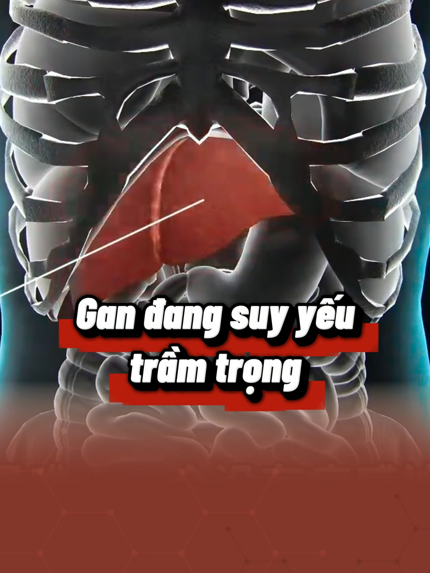 🔥 LIFAMAX: GIẢI ĐỘC GAN - MÁT GAN - BẢO VỆ GAN Hỗ trợ cải thiện mụn nhọt, vàng da, mệt mỏi do chức năng gan suy giảm. Sản phẩm được các chuyên gia tiêu hoá khuyên dùng