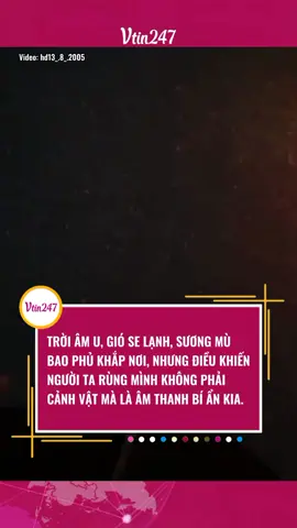 ÂM THANH GÌ VẬY TRỜI #vtin247 #giaitritiktok #tiktokgiaitri #tiktoknews #xuhuongtiktok 