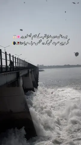 🌸🤍#fyp #foryou #fypシ #viral #foryoupage 