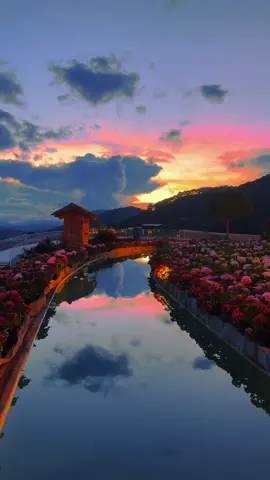 Khoảnh khắc cuối ngày là lúc mà ta muốn ở bên cạnh người ấy nhất #dalat #chuyencuanang #hoanghon #hoanghondalat
