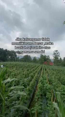 🔥🔥🔥 folow gaes @Petani Kampung  #petaniindonesia🇮🇩🇮🇩🇮🇩🌿🌿  #petanimilenial  #petanimuda  #fypシ゚  #viralvideo 