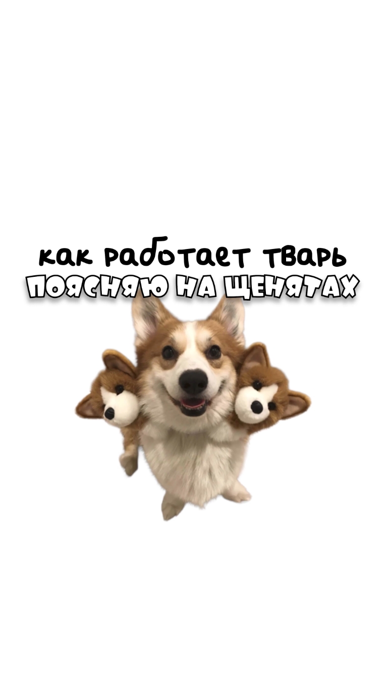 Как работает тварь