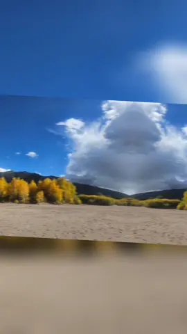 colorado in the fall! #fall  #colorado #viral #viralvideo #fyp 
