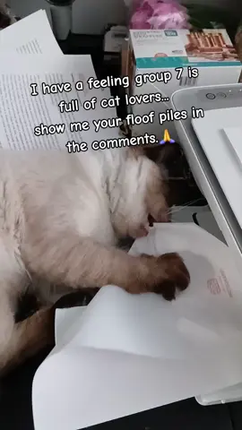 #fyp #fypシ゚viral #fypage #group7 