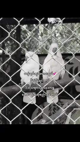 @️သာအေး LOML 🥺💕 