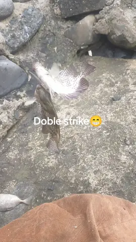 Doble strike #fyppage #mancingbaronang 