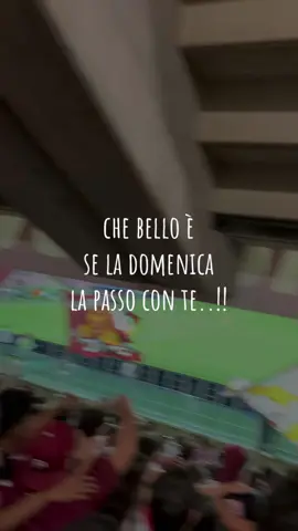 se in ogni stadio canterò per te..!!❤️‍🔥⏳ #neiperte #salerno #salernitana #ultras #virale 