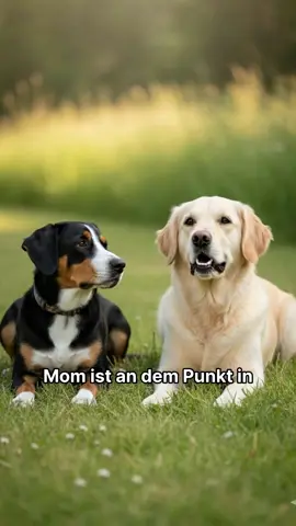 Endlich jemand mit echten Prioritäten. 🐾💛 Menschen urteilen – Hunde lieben einfach. Und das sagt alles. 😌✨ #hundehumor #amyundlilo #fellnasenliebe #hundeliebe #dogsoftiktok  