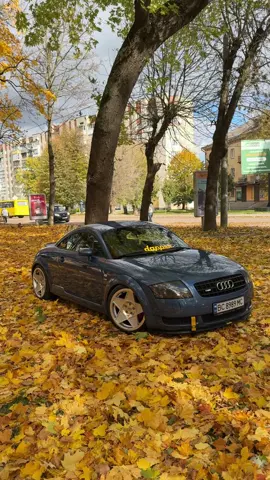 🍂🍁#3sdm #audi #ttrs #autumn #осінь 