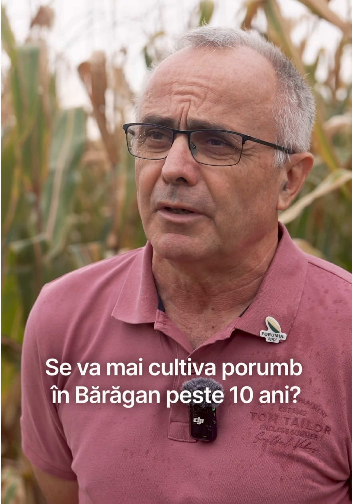 🌽Se va mai cultiva porumb în Bărăgan peste 10 ani? Ce spune Arnaud Perrein, administrator SOPEMA Agriculture (4000-4500 hectare), gazda ediției 2025 - Ziua Porumbului. #seceta #ferma #agricultura #ferma #porumb