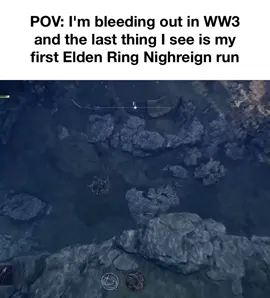 #eldenring #darksouls #meme #nightreign #fyp 