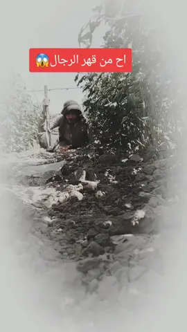 #ووو اخي #سليم #يااخي #سليم 