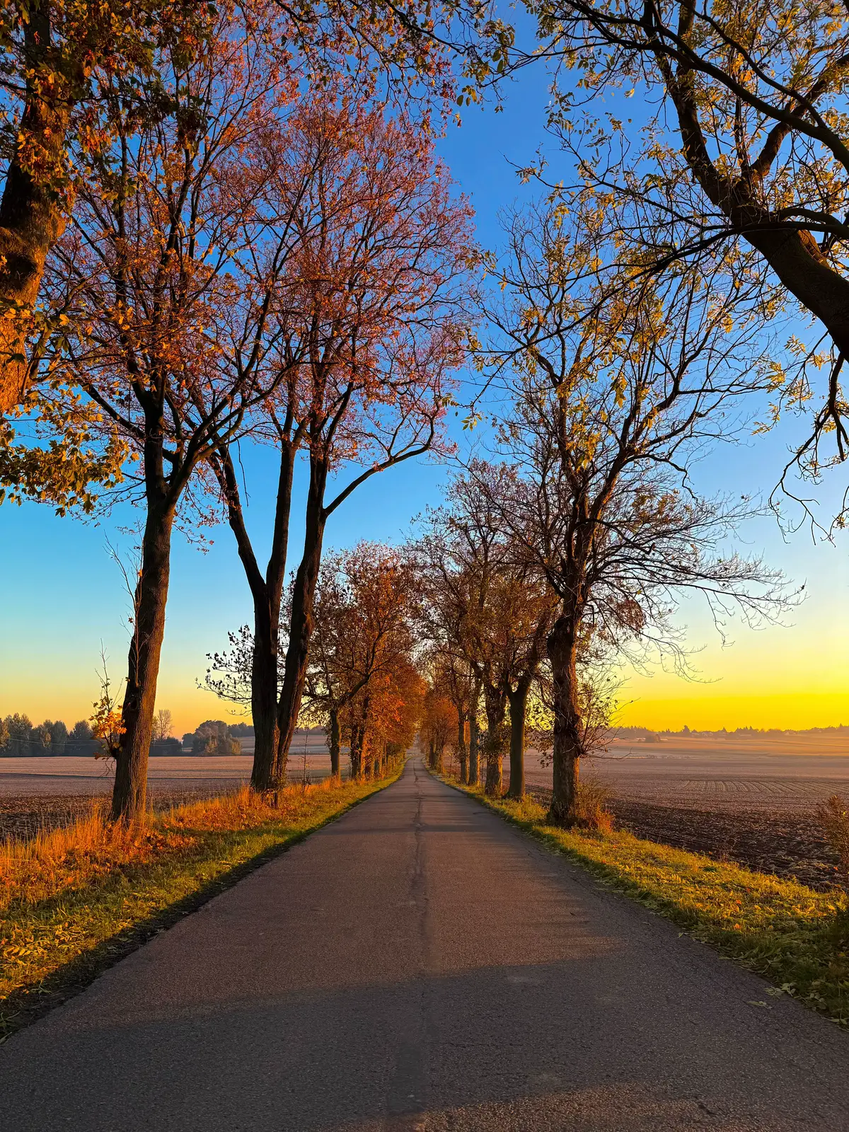 #nature #naturephotography #countryside #autumn #sunrise 