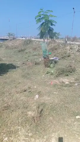 maha gadhi mai Nagar palika wada no.10 .3 ke fohar malhani jae Wala road me pasaha pul se daxin