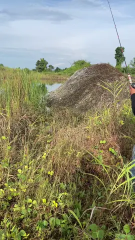 #ចប់ហើយមេៗ😪😪 #ឱរ៉ាល់ផ្ទះញុម😘 