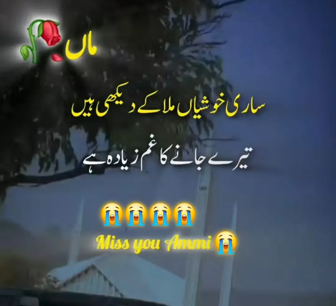 #foryou #💘💘💘💘💔💔💔💔💔💔😭😭😭😭😭😭😭 