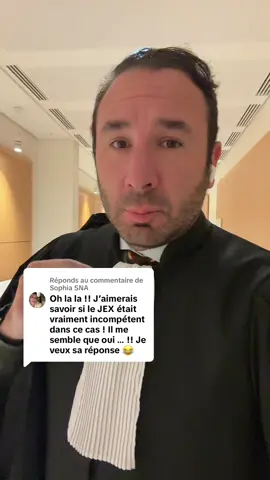 Réponse à @Sophia SNA le JEX est bien compétent! #palais #avoczt #lawyer 