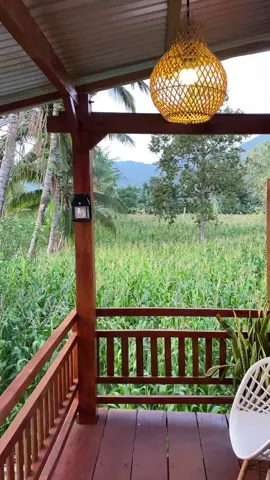 Untung fokus di gordennya bukan di mba kuntinya 😂💀