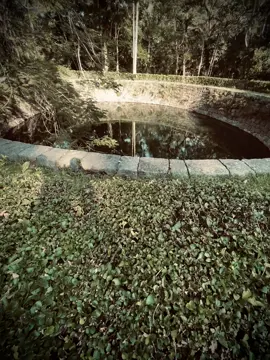 Bây gio đây là anh muon het ..het..