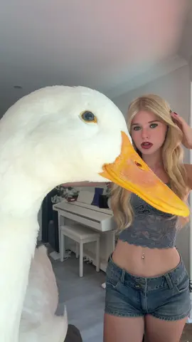 ducky #duck 