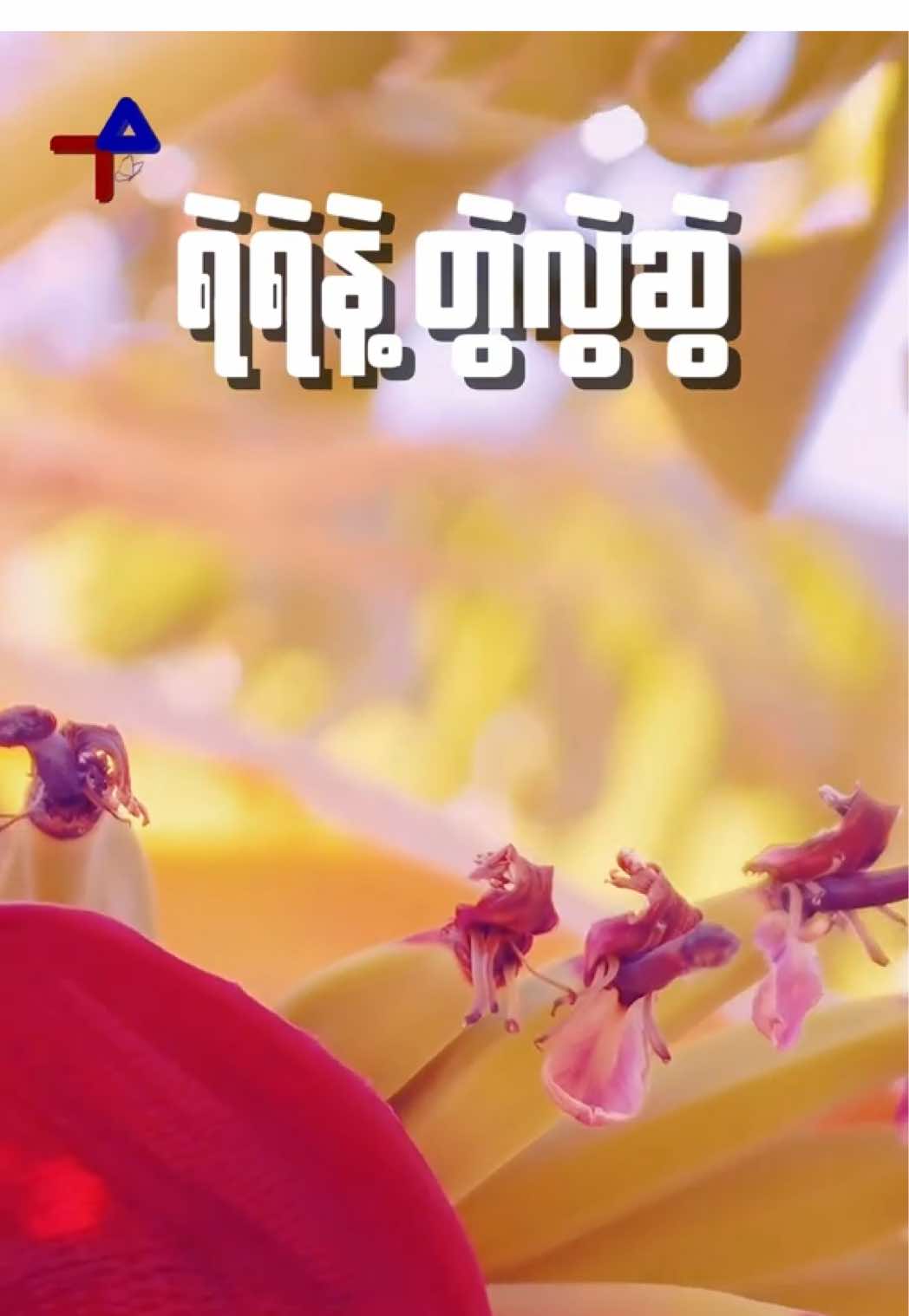 ရဲရဲနဲ့ တွဲလွဲဆွဲ ဘာလဲ #fyp #h2a2 #စကားထာသီချင်း 