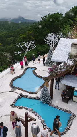 Không khí giáng sinh Đà Lạt đang ngập tràn tại cà phê Thị Trấn Tuyết 2025 #dalat #thitrantuyet #giangsinh #giangsinhdalat #noel