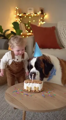 #dog #cutebaby #funnytoddler 