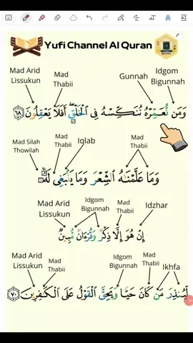 Belajar Mengaji Tajwid Surah Yasin Ayat 68-70 #belajar #mengaji #alquran #tajwid #yasin 