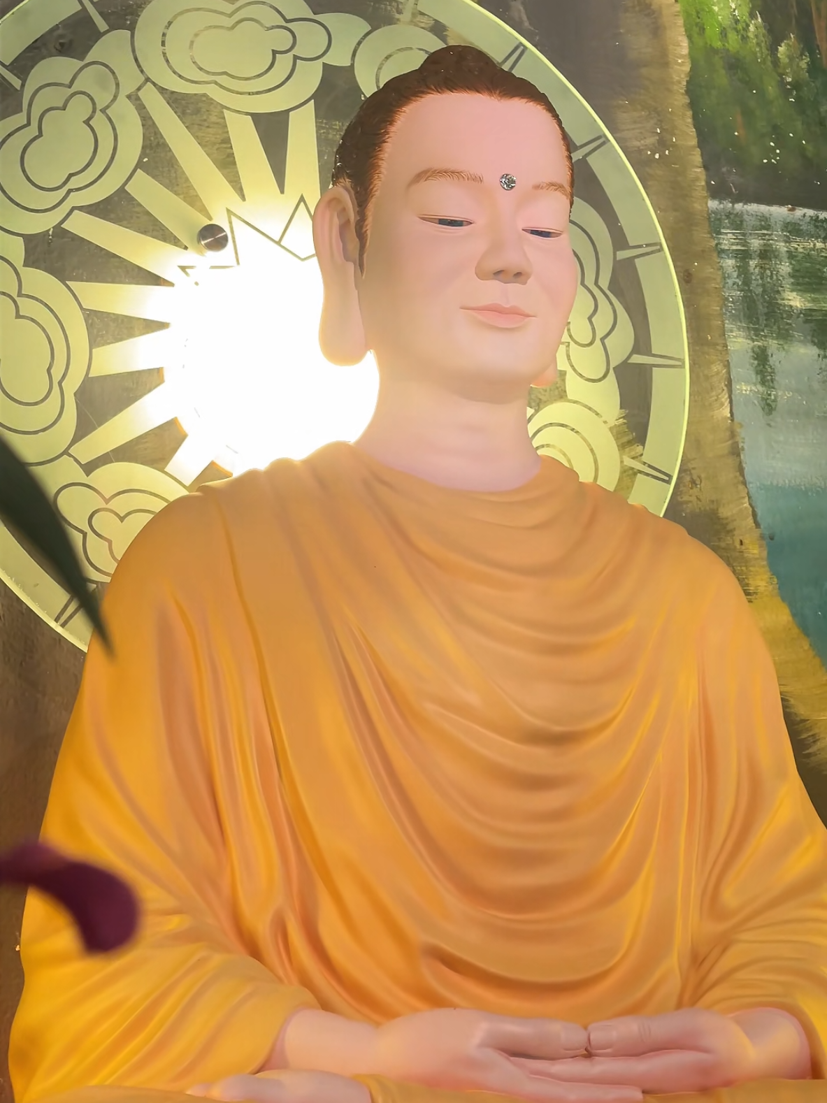 Dáng Người Mãi Mãi 🙏🙏🙏❤️❤️❤️🌻🌻🌻 #tonkinhphat  #phatphapnhiemmau  #khonggianthotamduc 