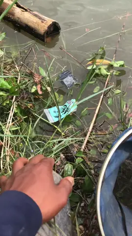 Bảo sao cá giạo này nó khó câu taa😂dung chiều cuối thâu 😂#fishingcaucatunhiendonglanh#baoca🐠 