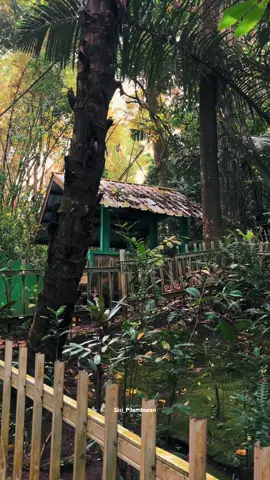 #dakwahkawih #kawihsunda #cicihcangkurileung #pepelinghirup #sisipilemburan  📍Makam Keramat Bungarungkup Girimukti Cibatu Garut Jawa Barat