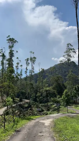 #ciwidey #curugawilangit #wisataalam #rancabali 