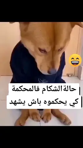 #في هذا اليوم 