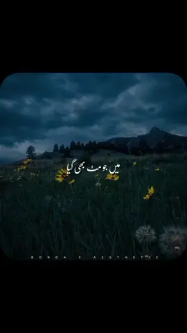 MEIN JO MIT BH GAYA 🎧 #bonga_x_aesthetic #viralvideo #foryou #foryoupage #500k 