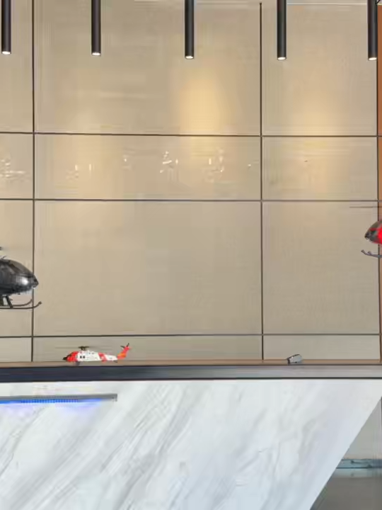 Wolfbush x Yuxiang Bird Helicopter is coming soon | Stirlingkit #stirlingkit #rc #helicopter #bird #comingsoon  Link：https://bit.ly/3KrtDtW