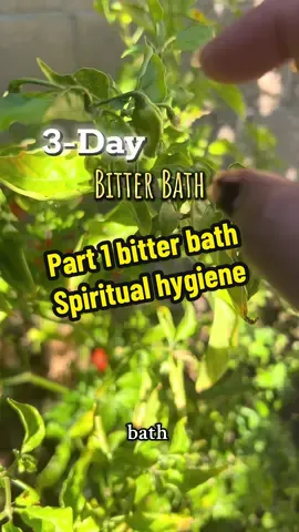 #spiritualbath #bitterbath #spirituality #curanderismo #spiritualhealing 