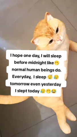 #creatorsearchinsights #funnyvideos😂 #fypシ゚viral 