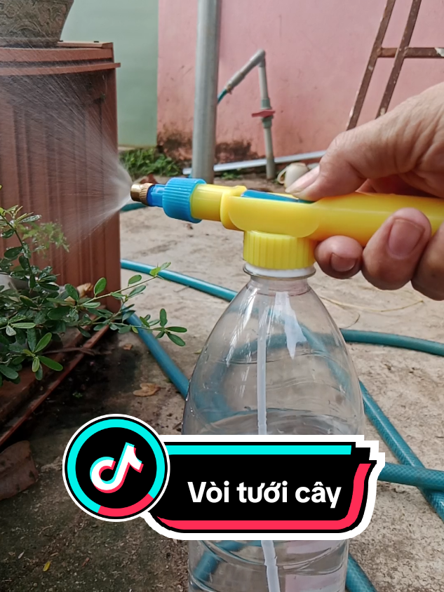 #trantrung #voituoicay #xuhuong 
