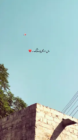 ماں۔🥹♥️🌿 #foryou #foryourpages #poetry #aesthatic #poetrystatus 