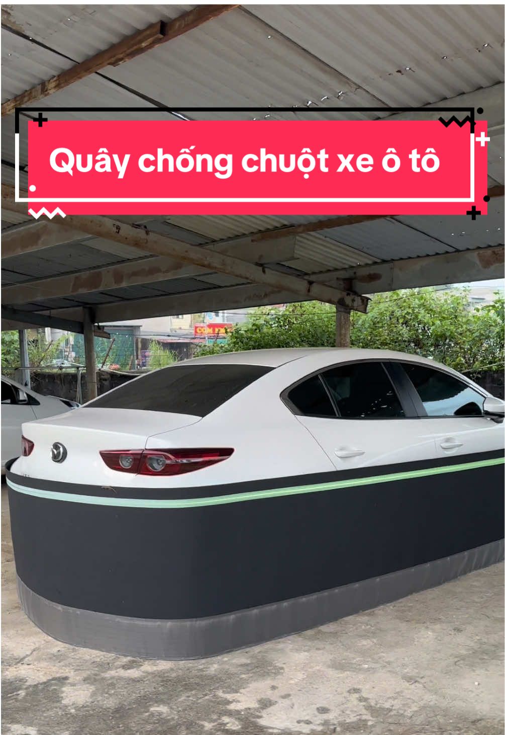 Quây chống chuột cho xe ô tô, có đủ kích cỡ xe #quaychongchuototo #chongchuototo #xhtiktok 