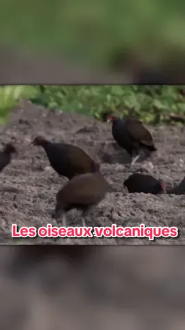 Il y a eu une nouvelle mise à jour sur terre les gars purée 😭